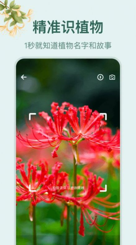 ݰٿʶapp 1.1