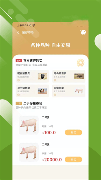 ũҵappذװ 1.0