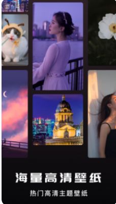 Сapp 1.1