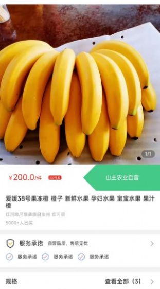 콶ƹ 1.0.0
