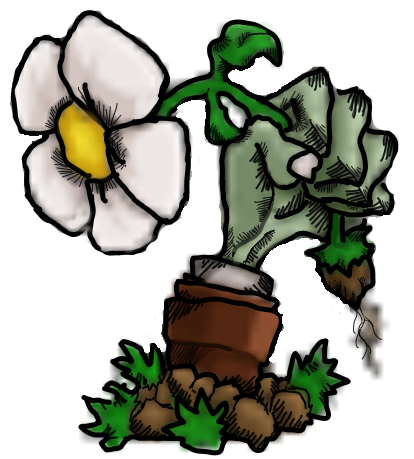 PvZϷذװ