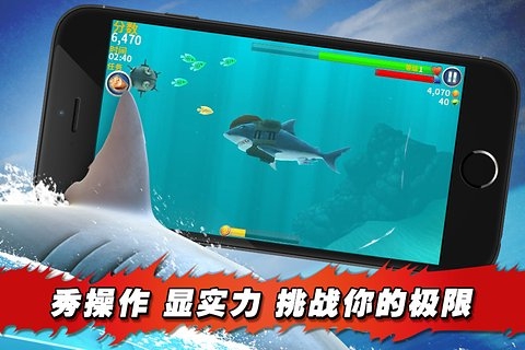  V8.7.6