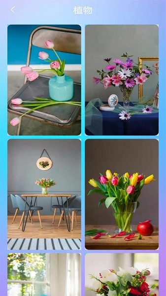 ֽ׿app 1.0