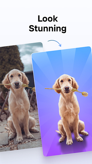 Photoroom 1.7.5