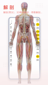 3Dbodyʷ汾 v8.8.20