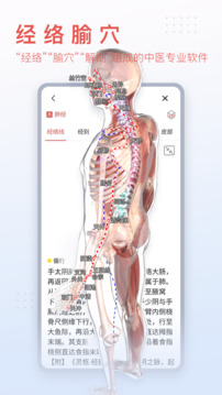 3Dbodyʷ汾 v8.8.20
