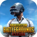 pubgؾ