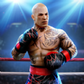 Real Boxing 2ֻ