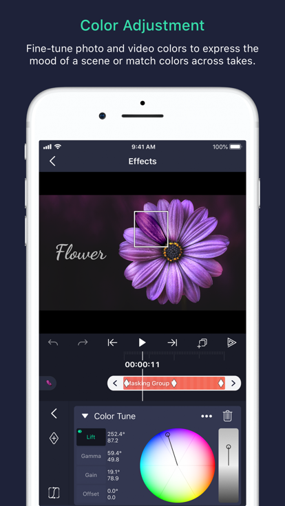 alightmotion v2.4.2