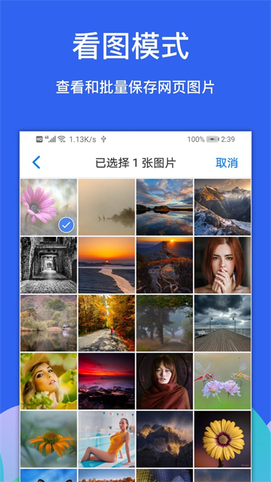 Alook v9.0