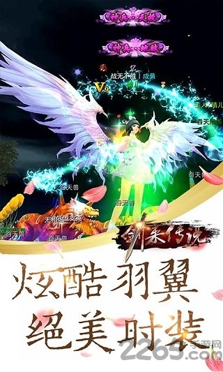  V2.1.6