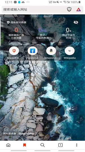 brave v1.67.123