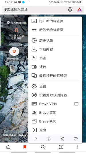 brave v1.67.123