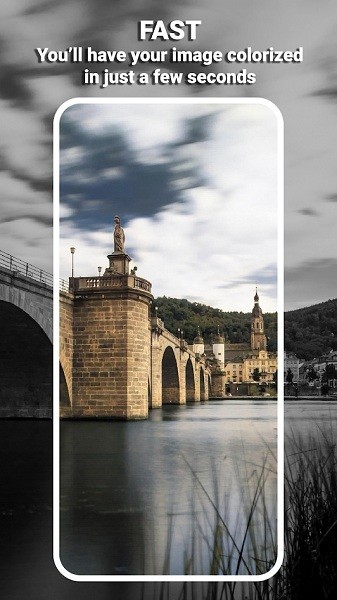 Colorize it v2.0.10