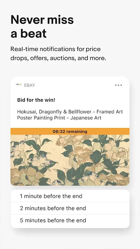 ebay羳 v6.134.0.3