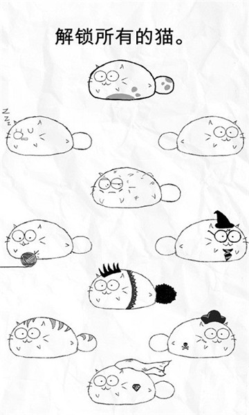 fatty?cat v3.1.4