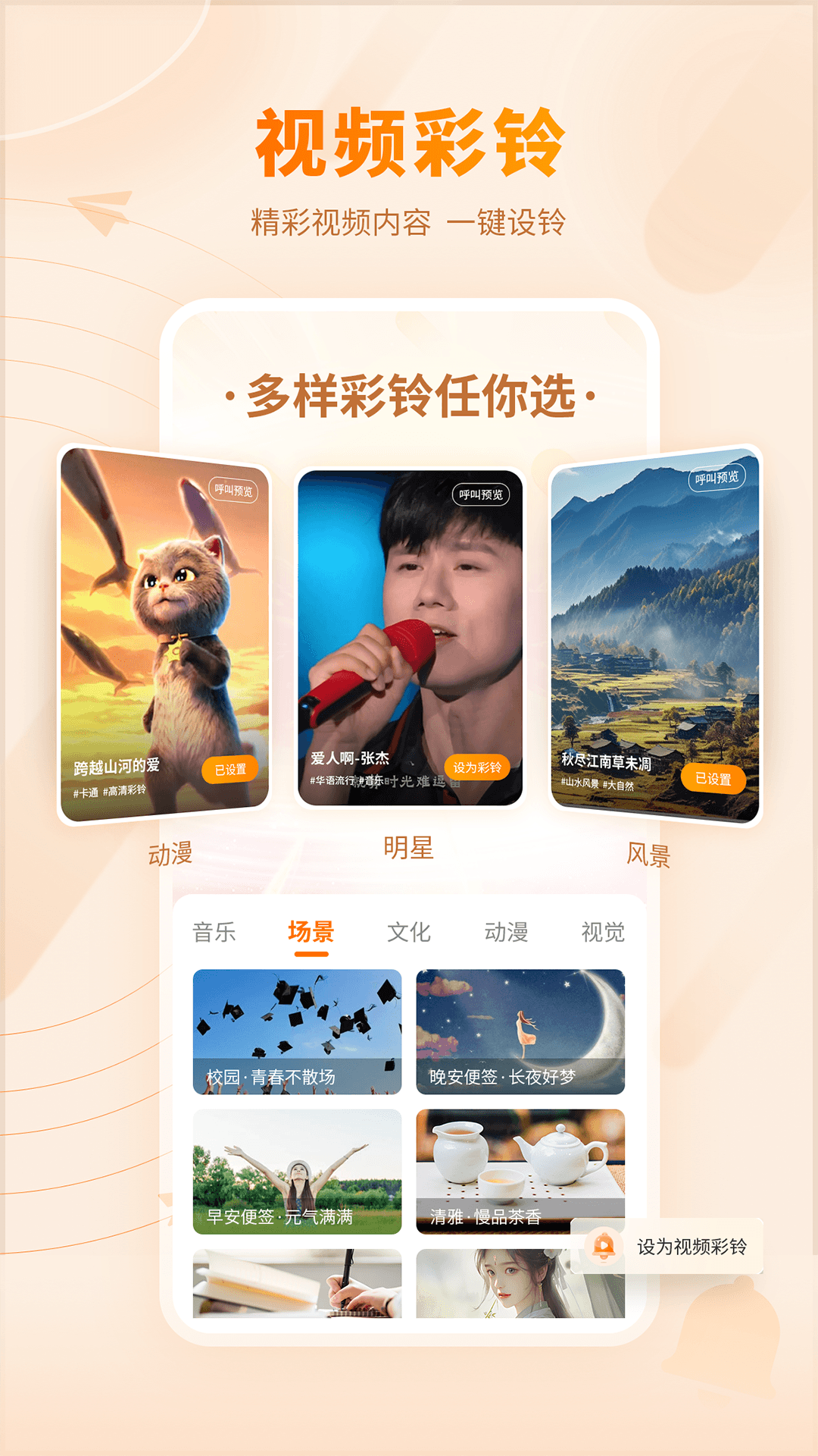 app 11.3.1