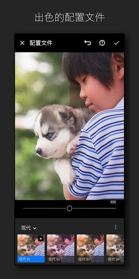 lightroom v2.3.1