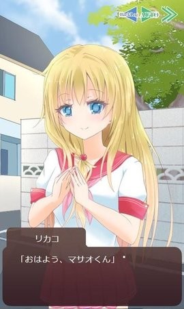  v1.1