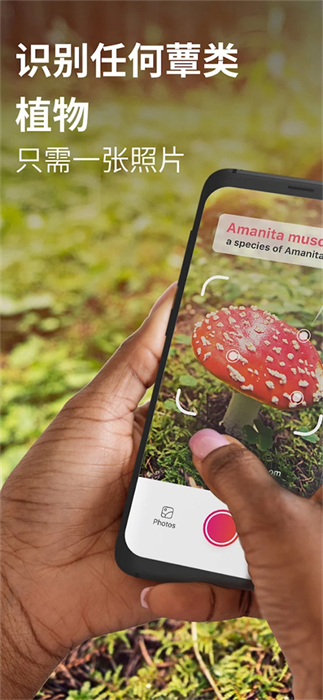 Picture Mushroom�������� v2.9.20