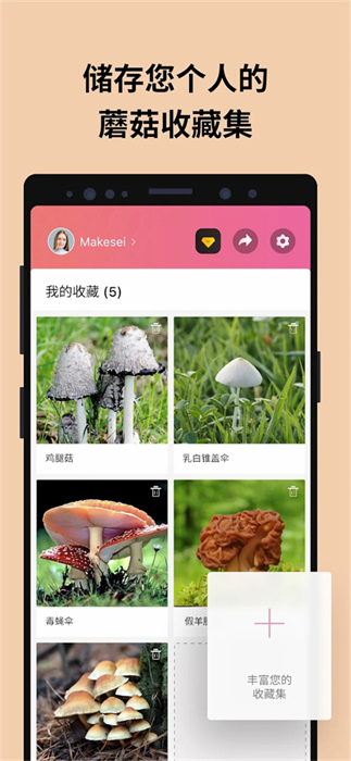 Picture Mushroom�������� v2.9.20