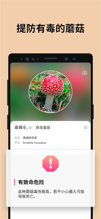 Picture Mushroom�������� v2.9.20