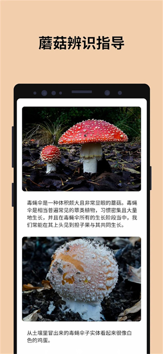 Picture Mushroom�������� v2.9.20