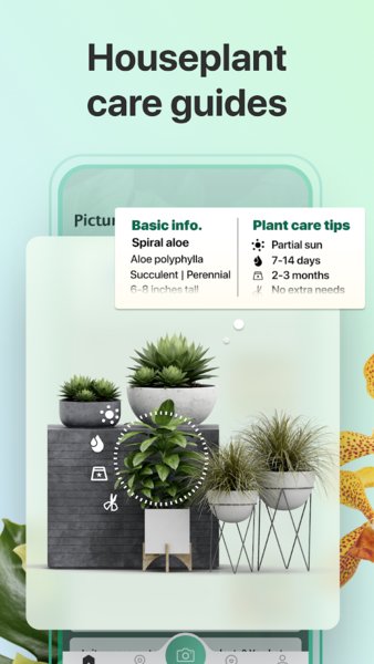 PictureThis v4.4.1