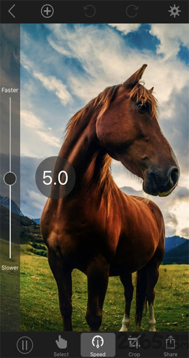 PLOTAVERSEİapp v4.0.20
