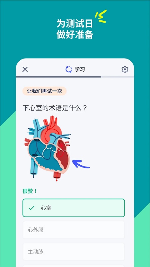quizlet v9.4.2