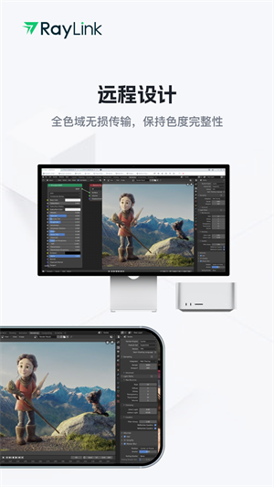 RayLinkԶ̿ v8.7.3