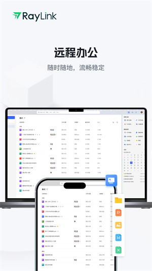 RayLinkԶ̿ v8.7.3