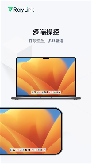 RayLinkԶ̿ v8.7.3