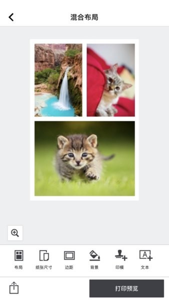 selphy?photo?layout���� v3.1.1