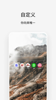 viaapkװ v5.8.1