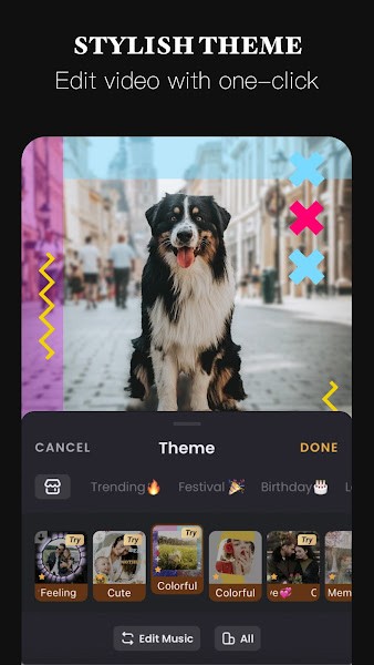 VivaVideo v9.11.5