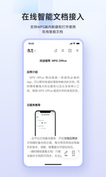 wpsרҵֻ v13.38.0