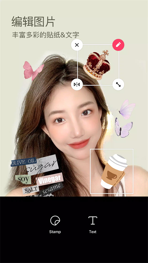 snowɰapp 2.8.0.1