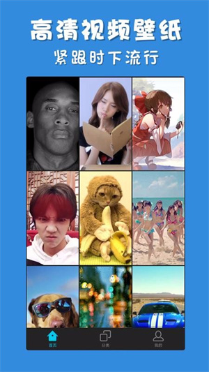 ʵƵֽapp v3.2.6
