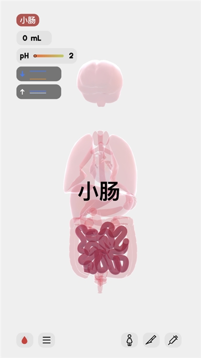 lifeģ ׿ v1.0