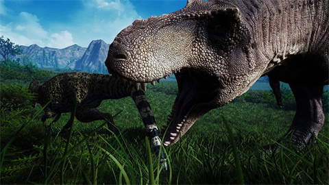  ֻ vrelease-0.3