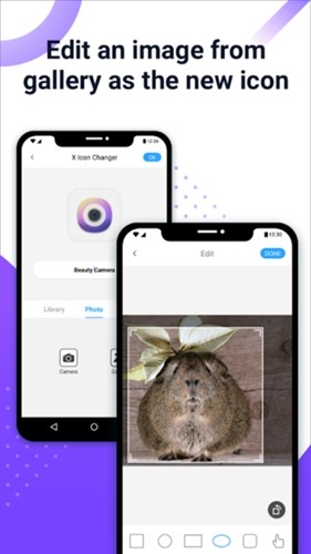 ͼ޸ v4.5.1