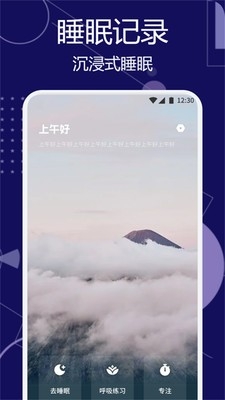  v1.1