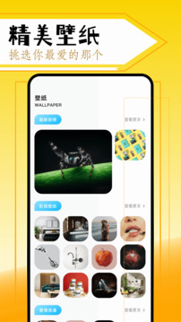  ȥ v9.1.1