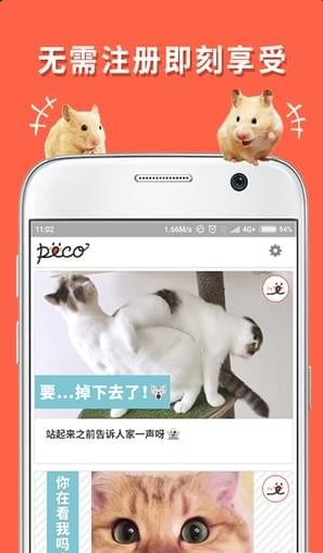 PECO_PECOapp v1.0.0