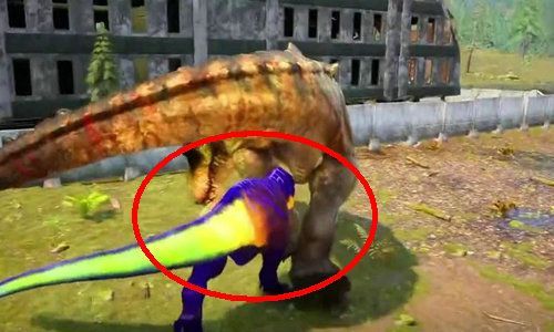 �������޹ٷ����� v1.1