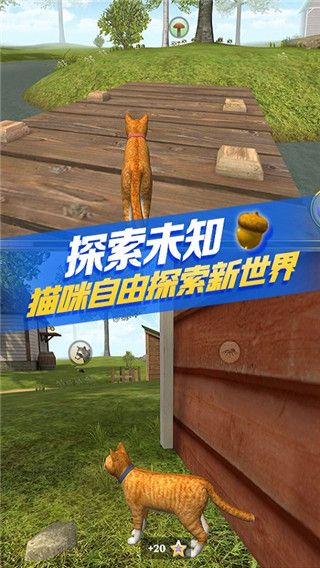 è������ģ�������İ� v215