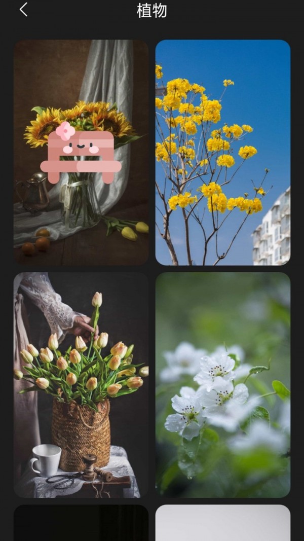 ֻֽapkװصַ v4.7.4