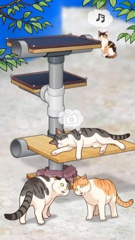 泡èֻװapkصַ v1.14