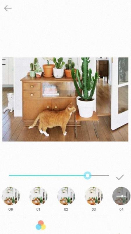 ������ͼ����ֻ�apk��װ�����ص�ַ v1.1